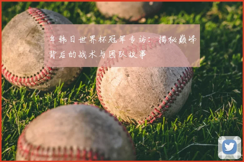 年韩日世界杯冠军专访：揭秘巅峰背后的战术与团队故事