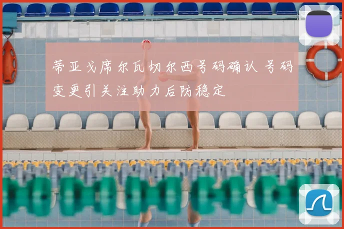 蒂亚戈席尔瓦切尔西号码确认 号码变更引关注助力后防稳定