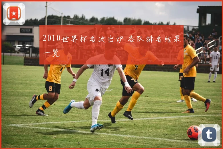 2010世界杯名次出炉 各队排名结果一览